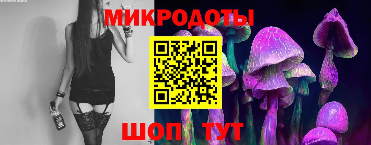 Сальск  где можно купить   Псилоцибиновые грибы MAGIC MUSHROOMS  Вход с VPN  Галлюциногенные грибы Psilocybe 